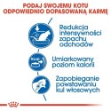 Royal Canin Indoor karma sucha dla kotów dorosłych, przebywających wyłącznie w domu 400g