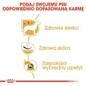 Royal Canin West Highland White Terrier Adult karma sucha dla psów dorosłych rasy west highland white terrier 0,5kg