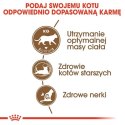 Royal Canin Ageing +12 Sterilised karma sucha dla kotów dojrzałych, sterylizowanych 2kg