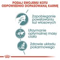 Royal Canin Hairball Care w sosie karma mokra w sosie dla kotów dorosłych, eliminacja kul włosowych saszetka 85g