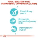 Royal Canin Urinary Care karma mokra dla kotów dorosłych, ochrona dolnych dróg moczowych saszetka 85g