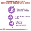 Royal Canin Appetite Control Care karma sucha dla kotów dorosłych, domagających się jedzenia 3,5kg