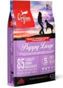 Orijen Puppy Large Breed 6kg