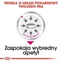 Royal Canin Exigent karma mokra dla wybrednych psów dorosłych, wszystkich ras, pasztet saszetka 85g