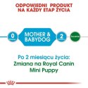 Royal Canin Mini Starter Mother&Babydog karma sucha dla szczeniąt do 2 miesiąca i suk karmiących ras małych 4kg