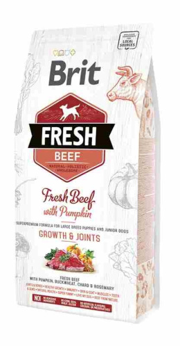 BRIT FRESH PUPPY LARGE BEEF & PUMPKIN 2,5kg