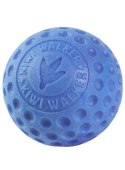 Kiwi Walker Let's Play Ball Mini piłka niebieska